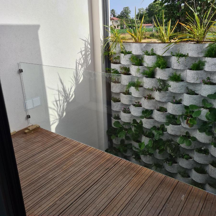 Isatour -Natural Park House Vouzela Exterior photo